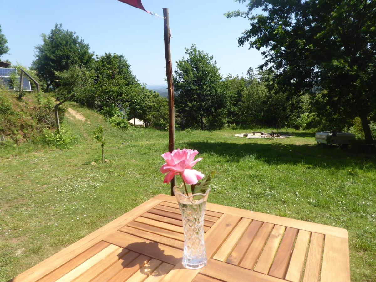 Rosa The Cosy Cabin - Gypsy Wagon - Shepherds Hut, River Views Off-Grid Eco Living Pedrogao Grande Bagian luar foto