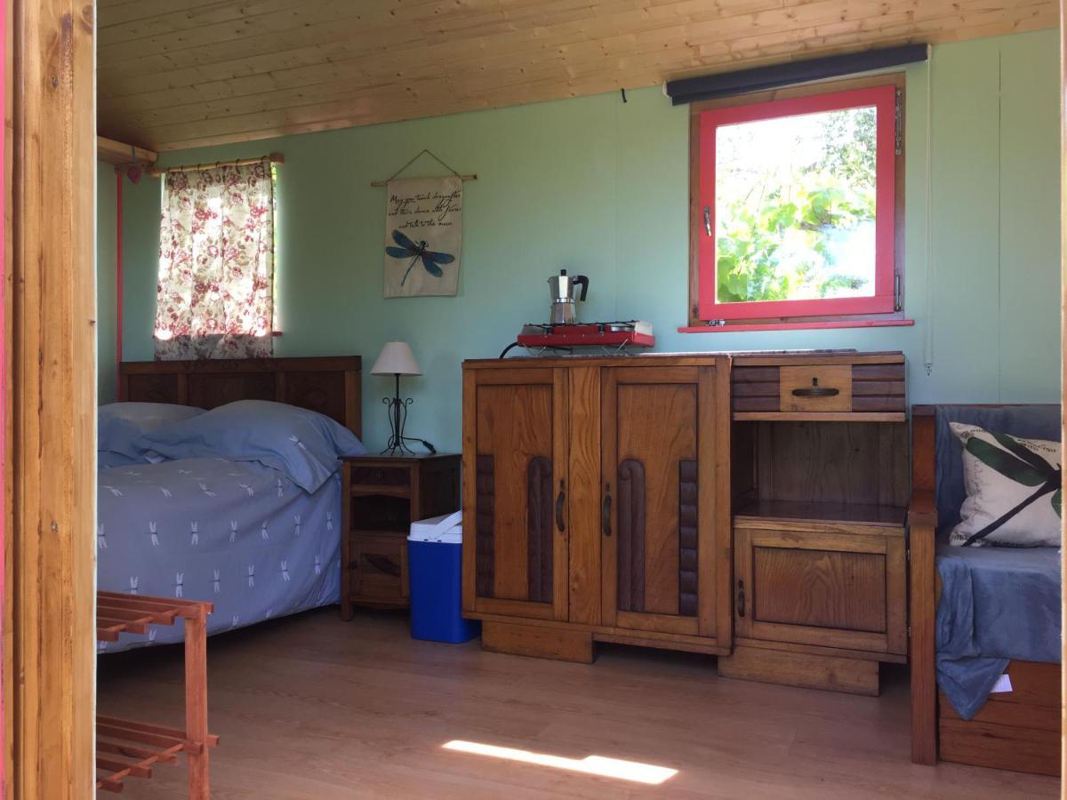 Rosa The Cosy Cabin - Gypsy Wagon - Shepherds Hut, River Views Off-Grid Eco Living Pedrogao Grande Bagian luar foto