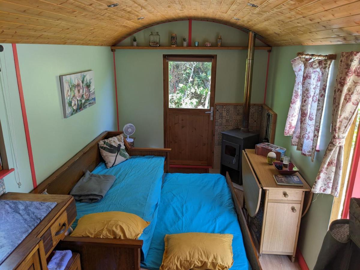Rosa The Cosy Cabin - Gypsy Wagon - Shepherds Hut, River Views Off-Grid Eco Living Pedrogao Grande Bagian luar foto